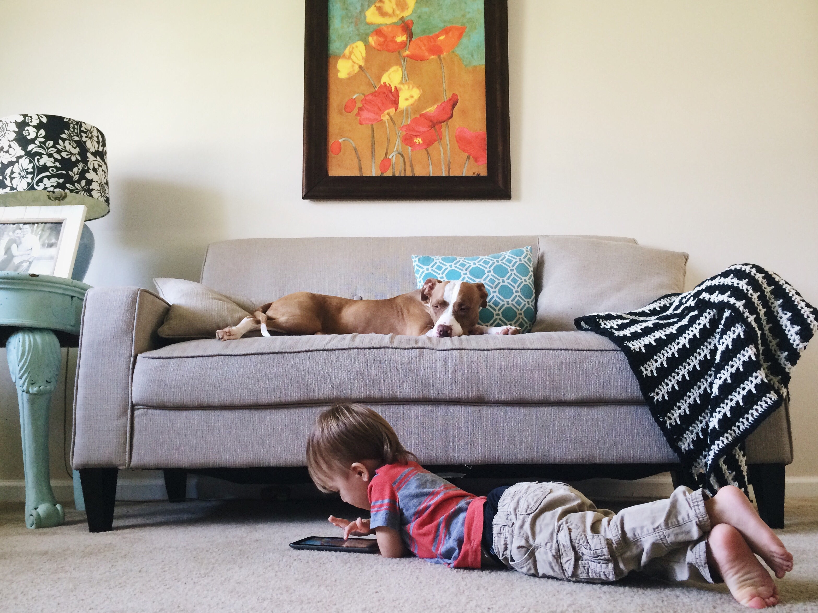 5 Ways to Keep Your Dog Busy When You're Stuck at Home! - Wild Origins Pet