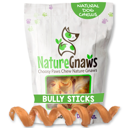 Nature Gnaws Best Beef Bully Sticks Springs, long-lasting dog chews bones.