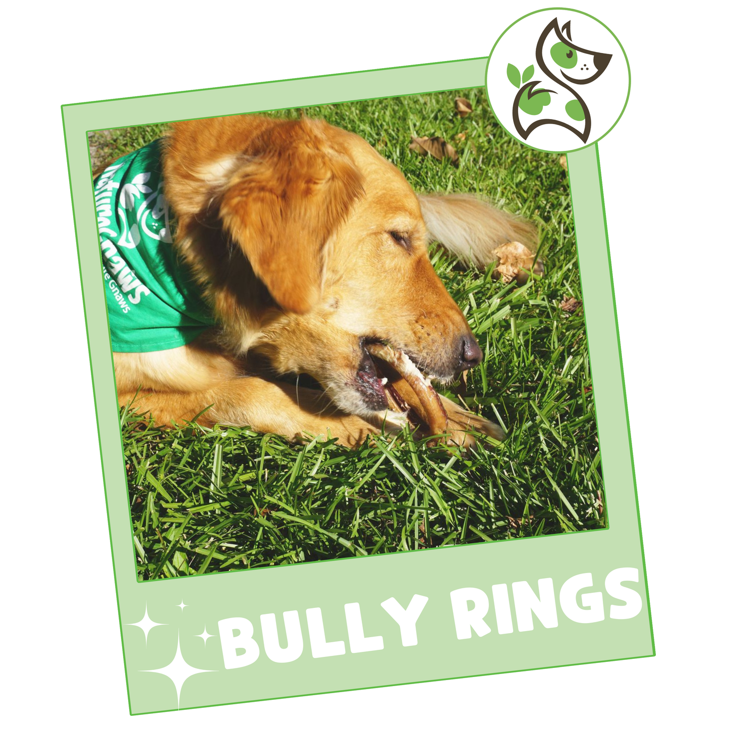 Bully Rings