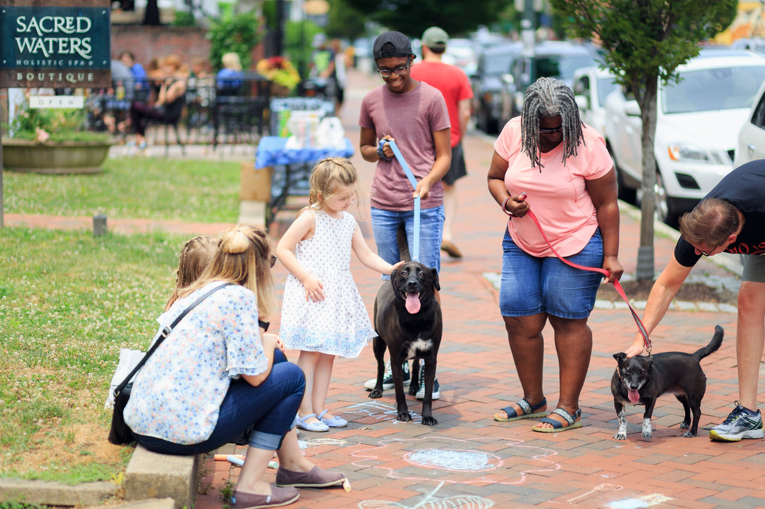 dogs getting pet by children and adults on sidewalk being walked by their owners