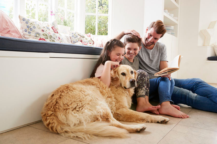 golden retriever sitting on floor next to three other people smiling and petting the dog 