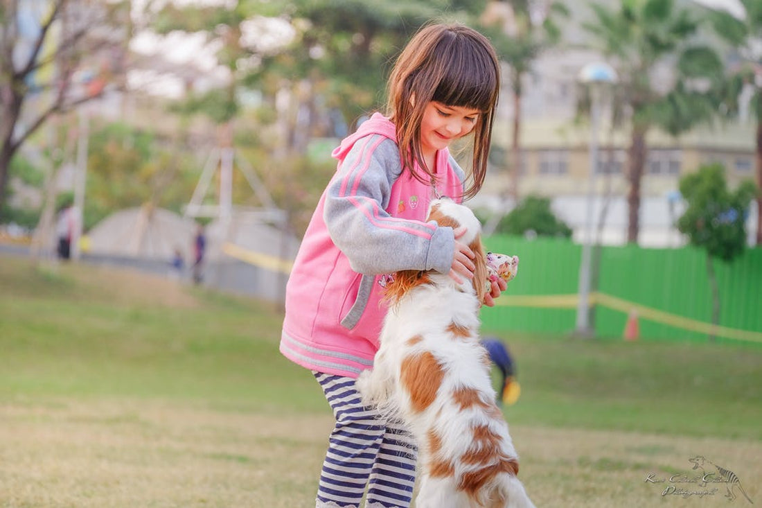 5 Important Ways Your Child Can Benefit From Having a Dog