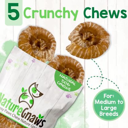 Natural Beef Trachea Balls Long-Lasting Dental Chew