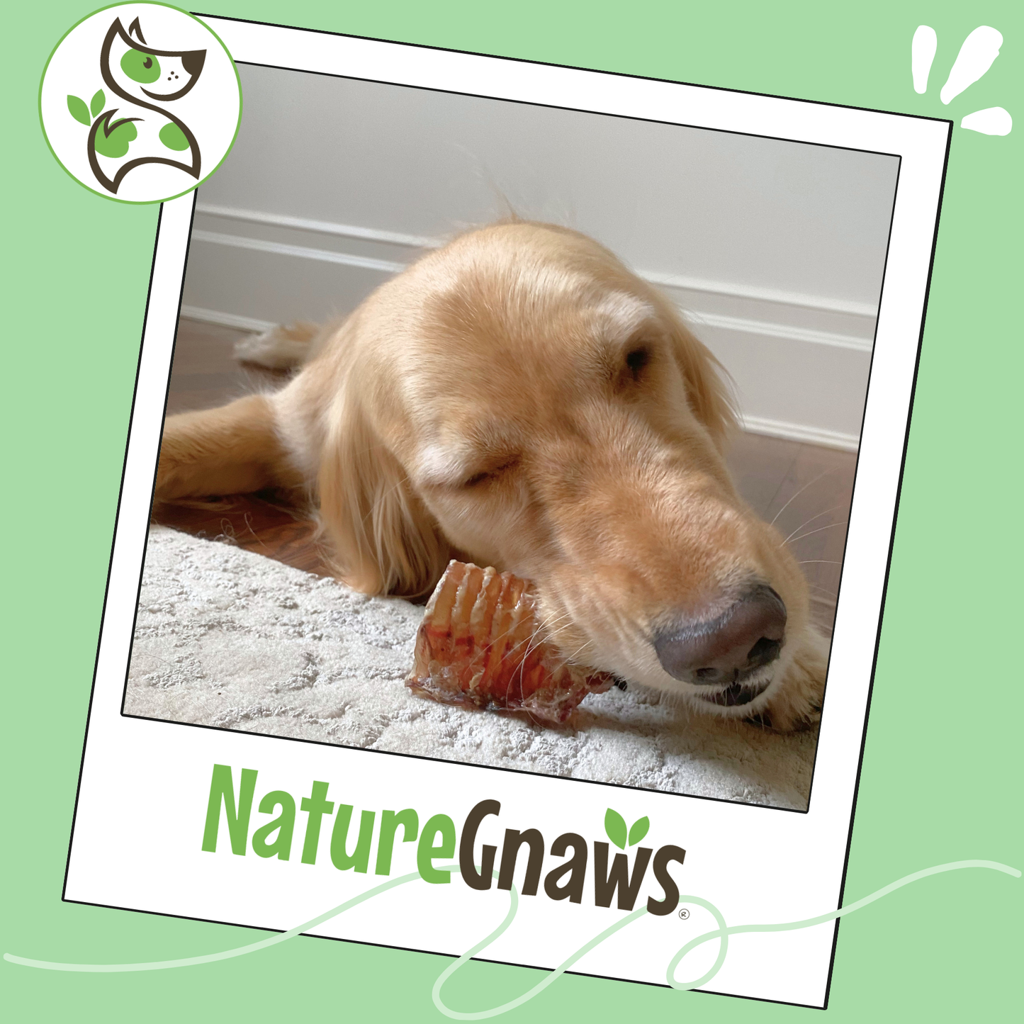 Natural Beef Trachea Balls Long-Lasting Dental Chew