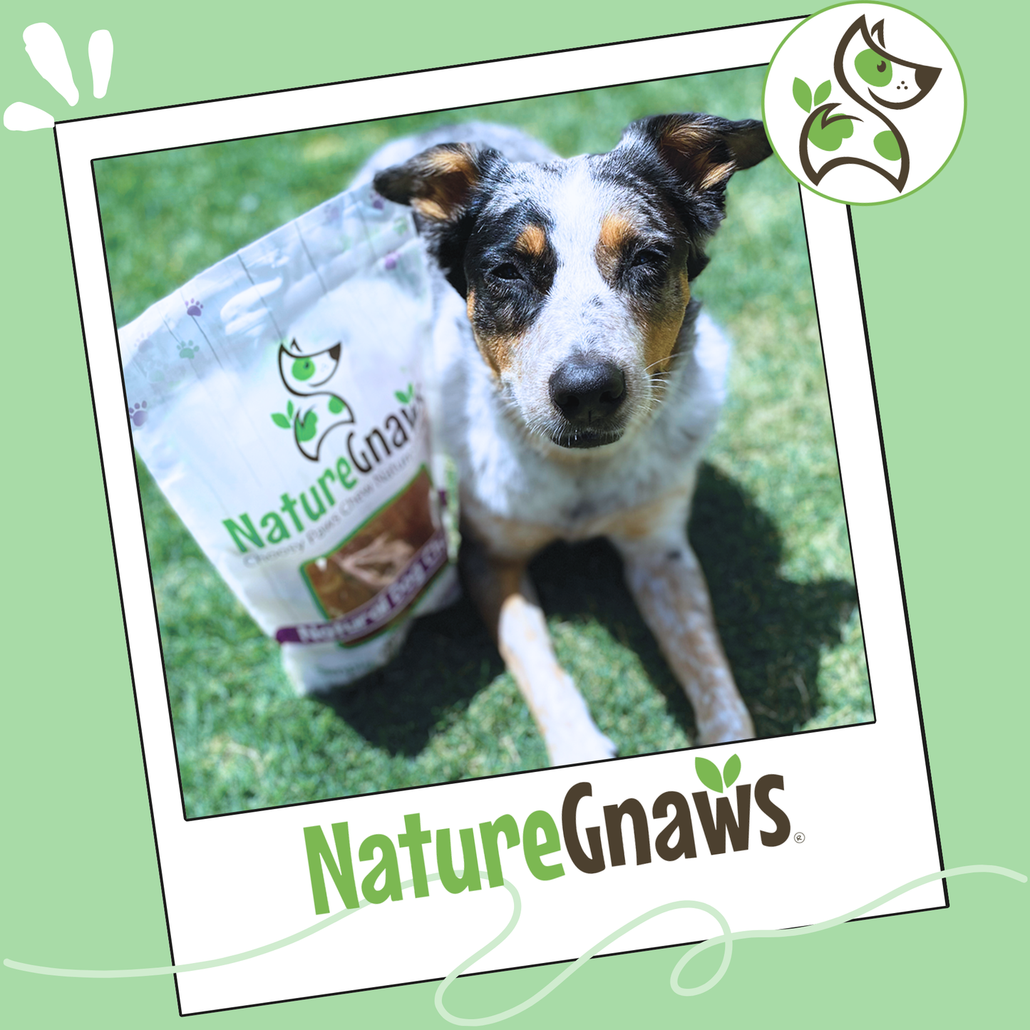 Natural Beef Trachea Balls Long-Lasting Dental Chew