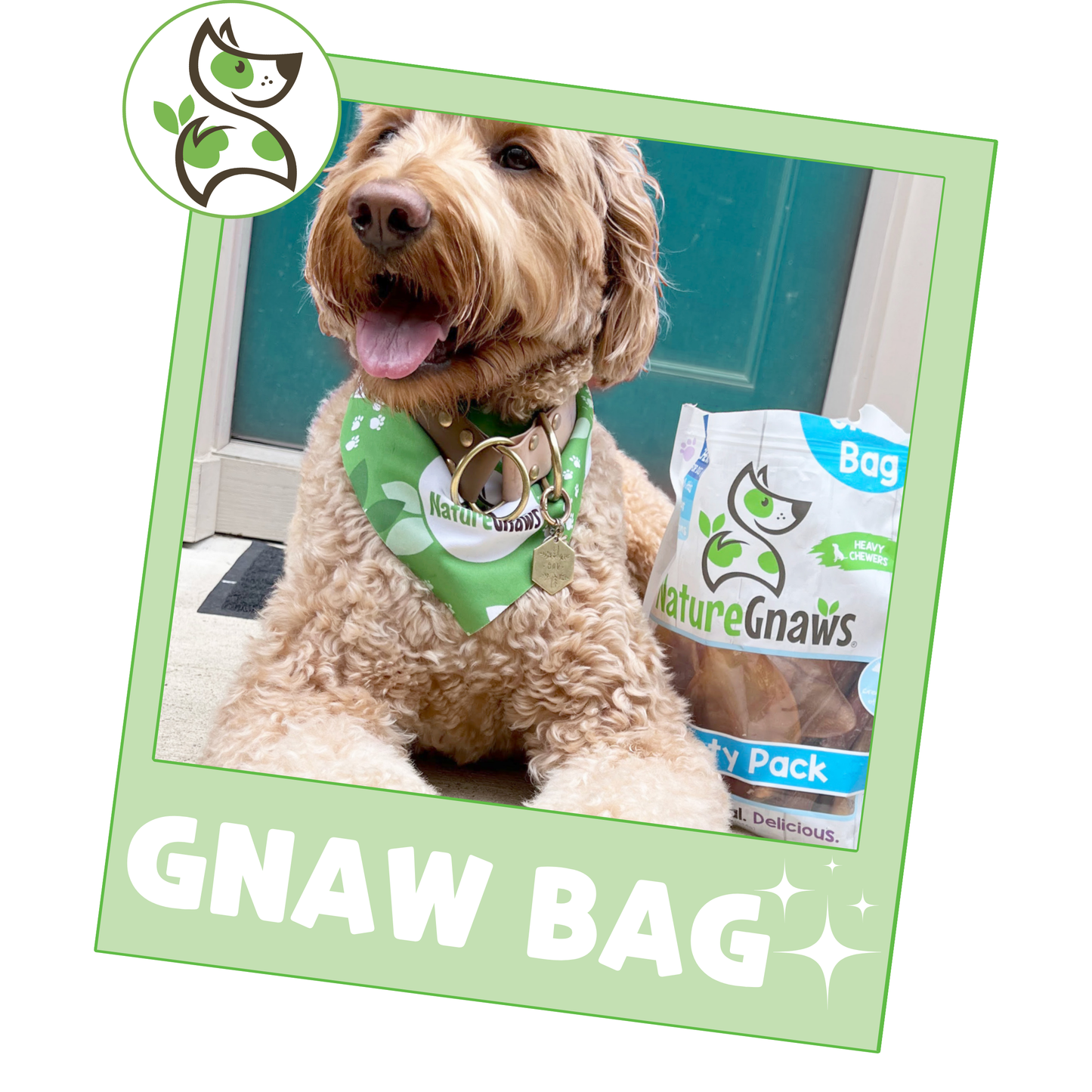 Gnaw Bag