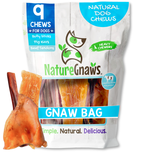 Gnaw Bag