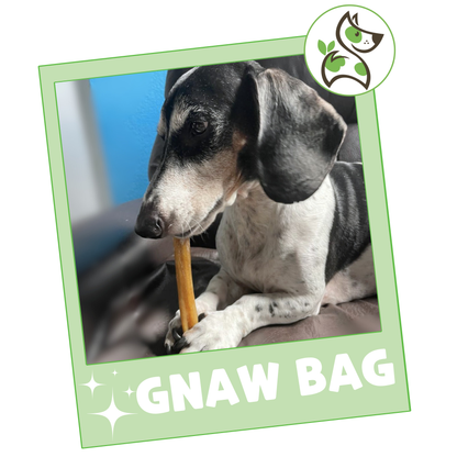 Gnaw Bag