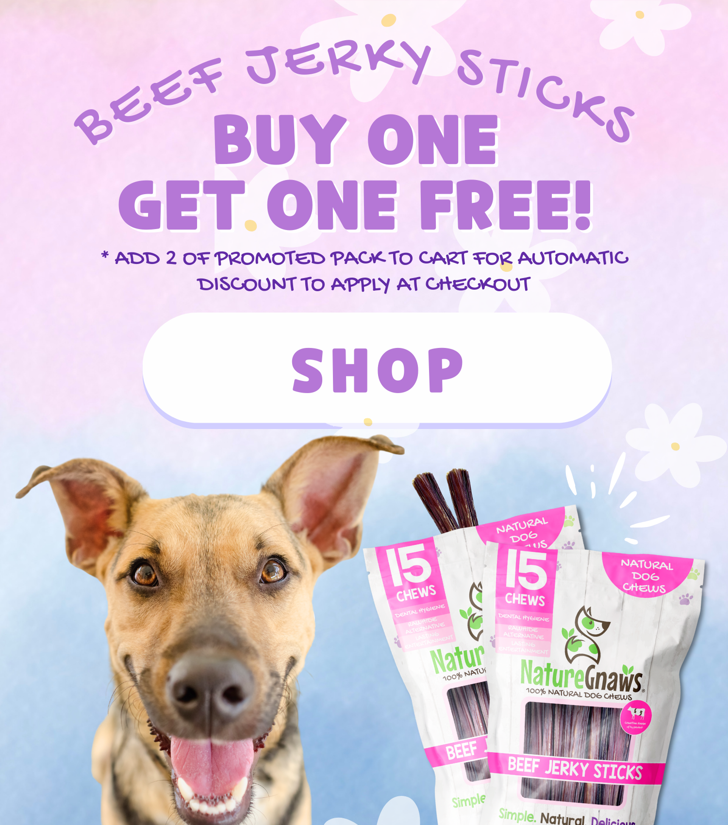 Nature gnaws small bully sticks best sale