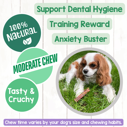 Beef Gullet Chews 4-5"