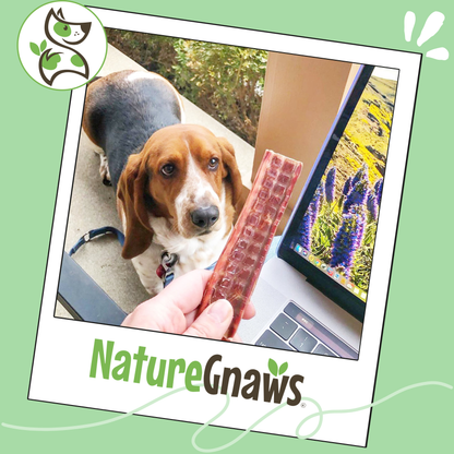 Beef Gullet Chews 4-5"