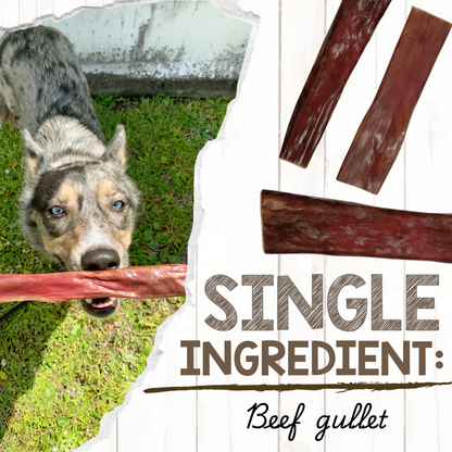 Beef Gullet Chews 9-10" Natural Dental Chews