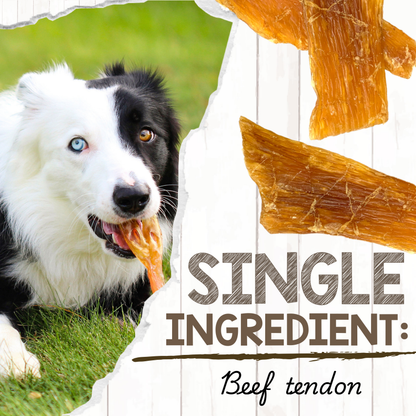 Beef Paddywack Tendon Durable Dental Chews