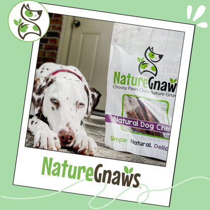 Beef Gullet Chews 9-10" Natural Dental Chews