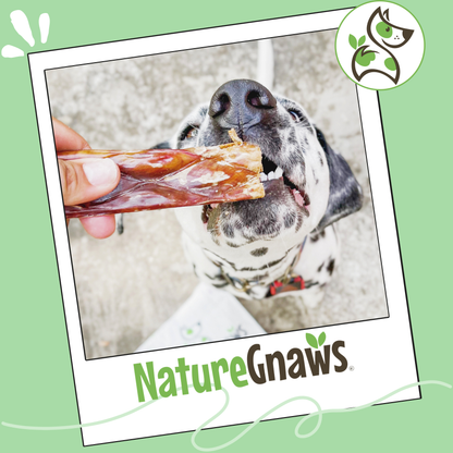 Beef Gullet Chews 9-10" Natural Dental Chews