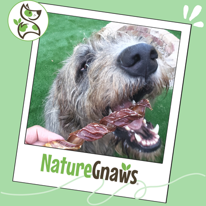 Beef Gullet Springs 7-8" Long-Lasting Dental Dog Chews