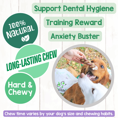 Braided Bully Sticks 5-6"