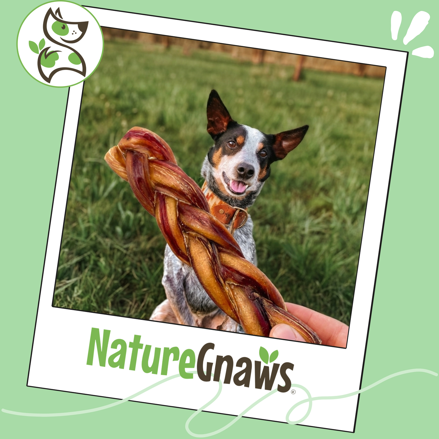 Braided Bully Sticks 5-6"