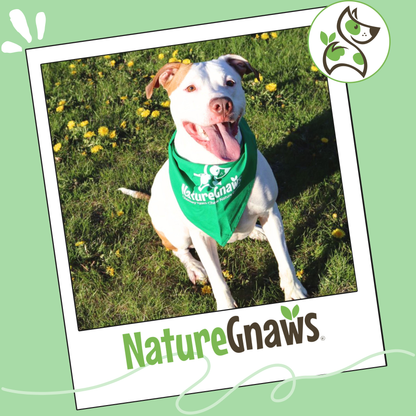 Braided Bully Sticks 5-6"