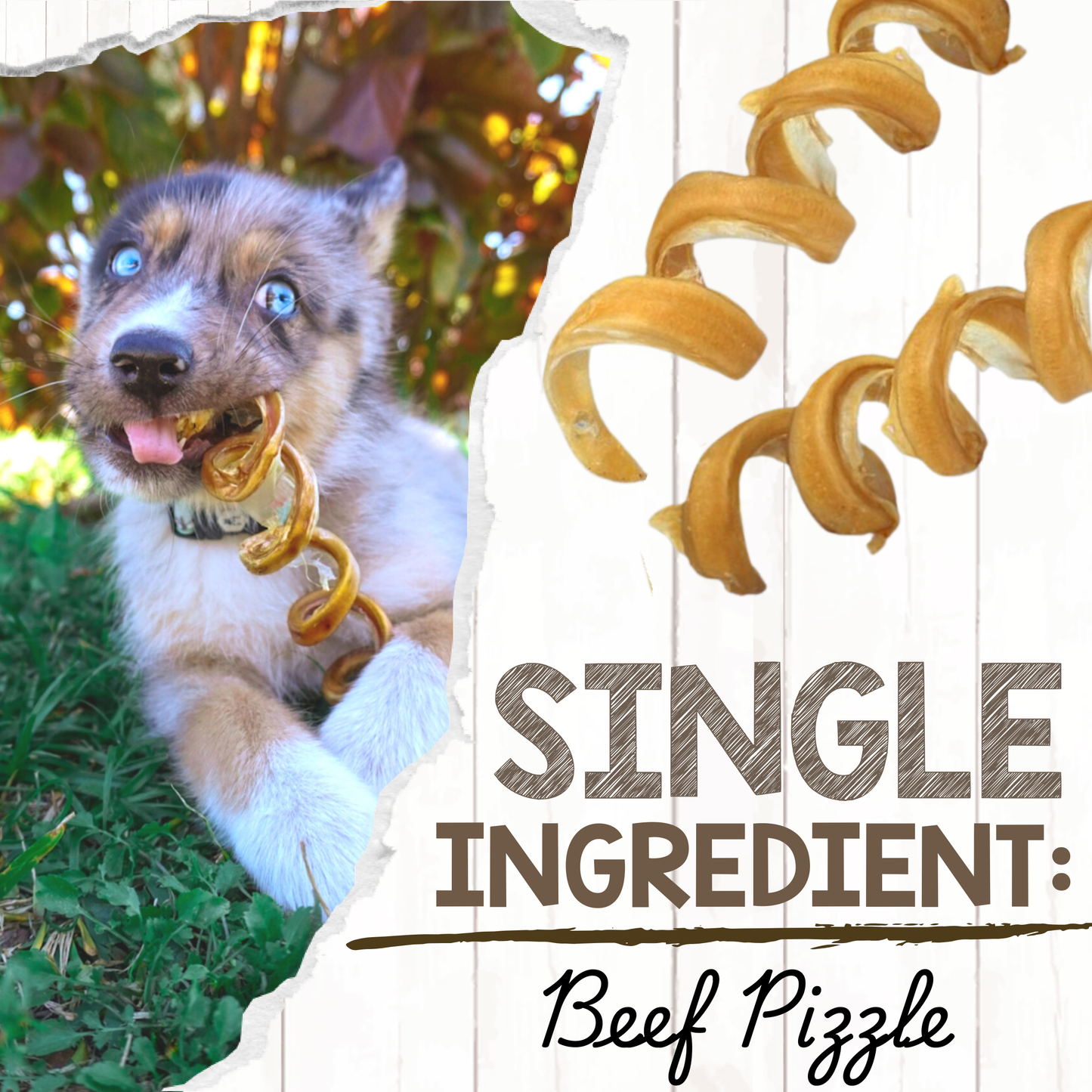 Bully Stick Springs 7-8" Natural Long-Lasting Dental Dog Chews