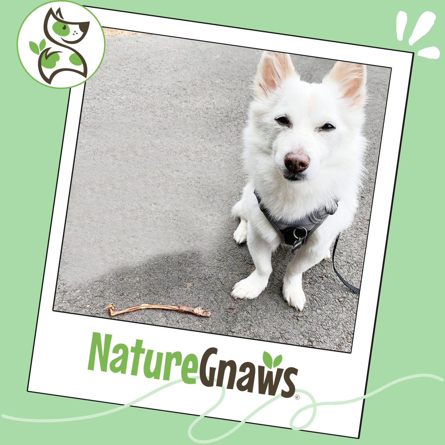 Pork Bully Sticks 5-6"