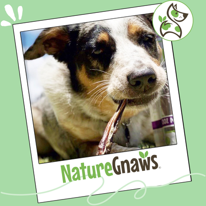 Pork Bully Sticks 5-6"