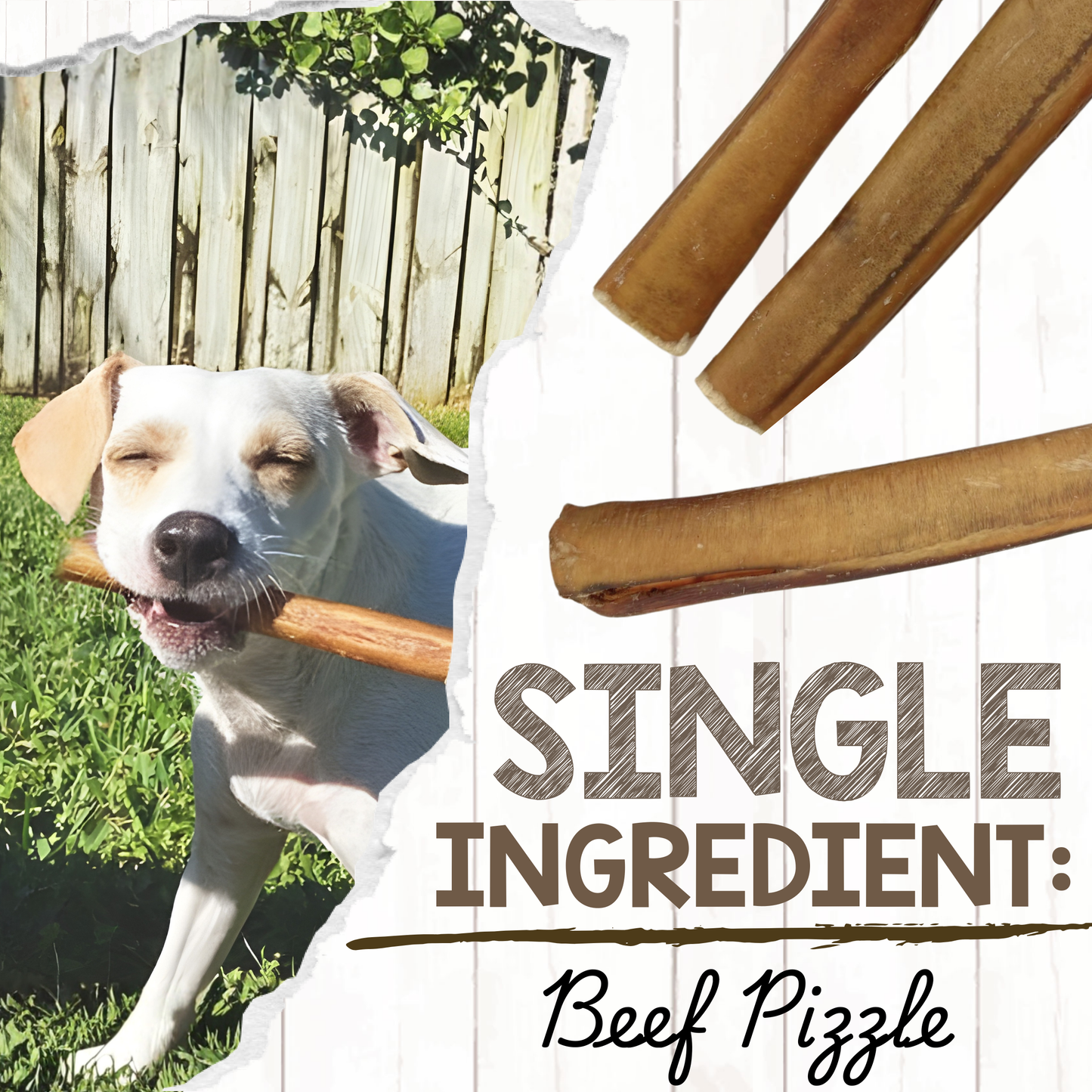 Jumbo Bully Sticks 5-6"