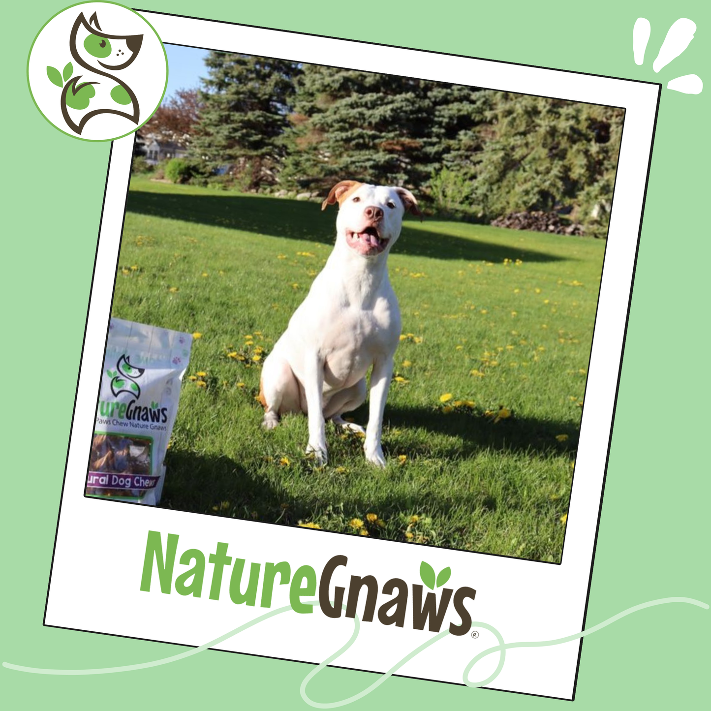 Jumbo Bully Sticks 5-6"