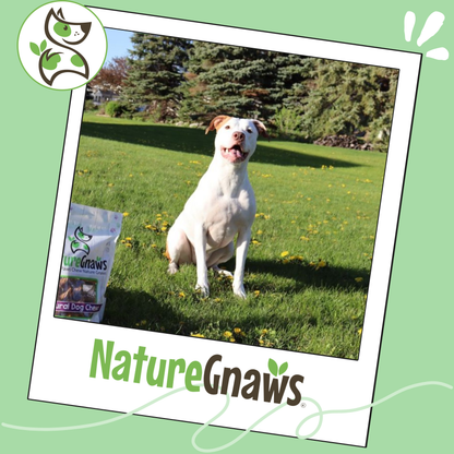 Jumbo Bully Sticks 5-6"