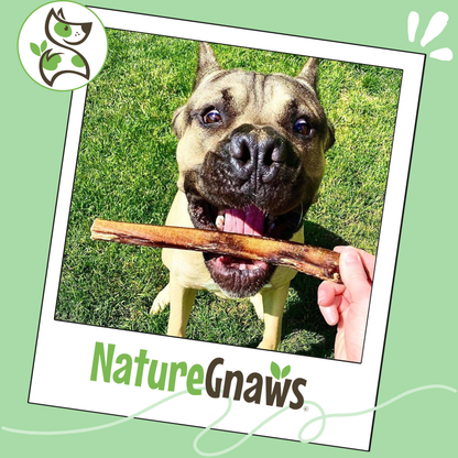 Large Bully Sticks 5-6"