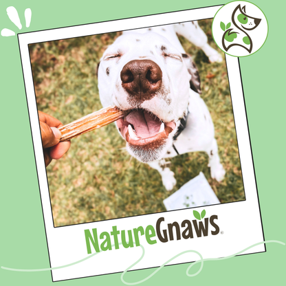 Large Bully Sticks 5-6"