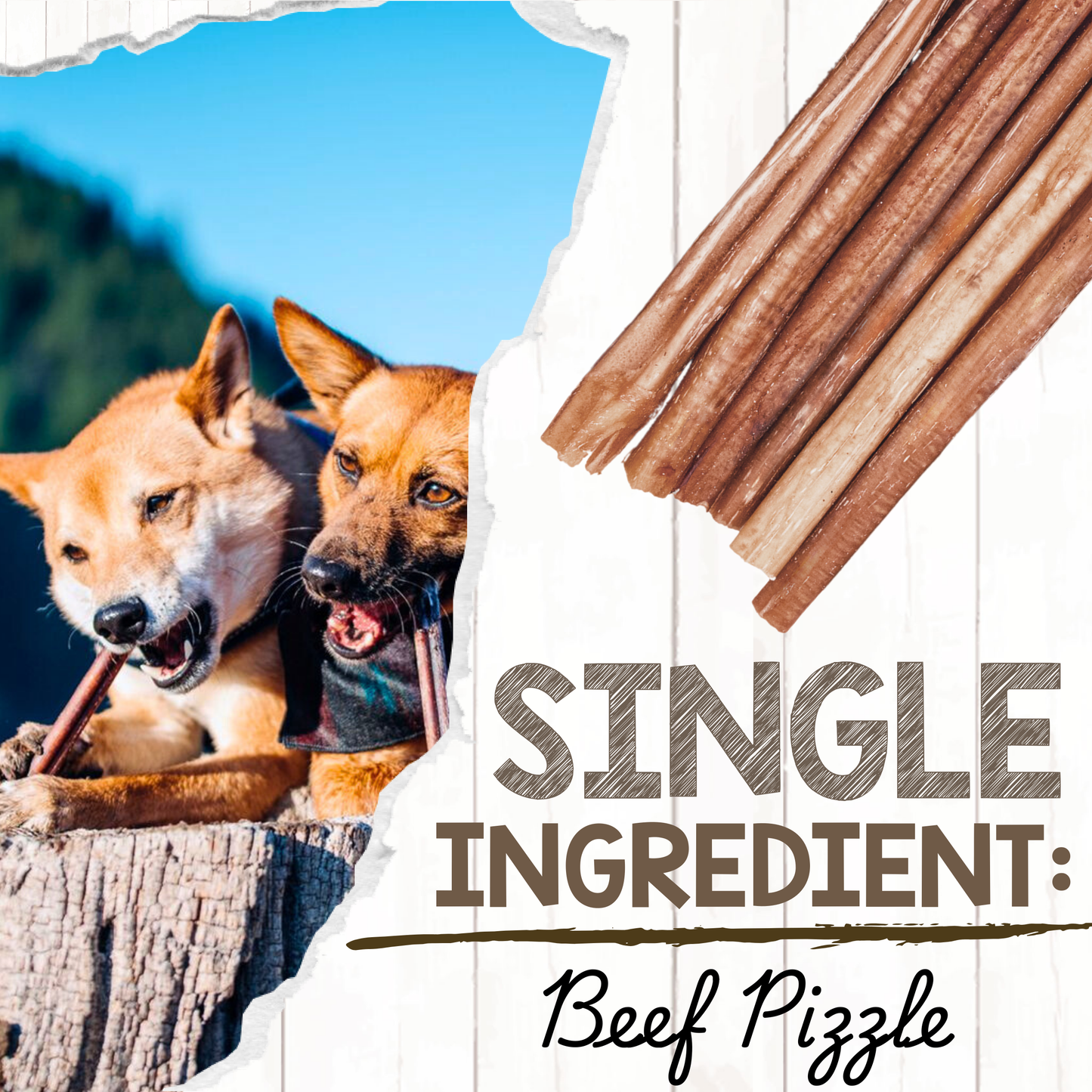 Large Bully Sticks 11-12"