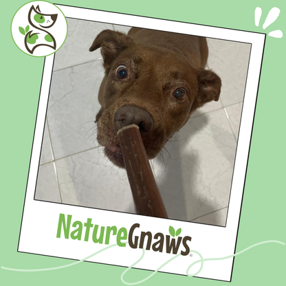 Large Bully Sticks 11-12"