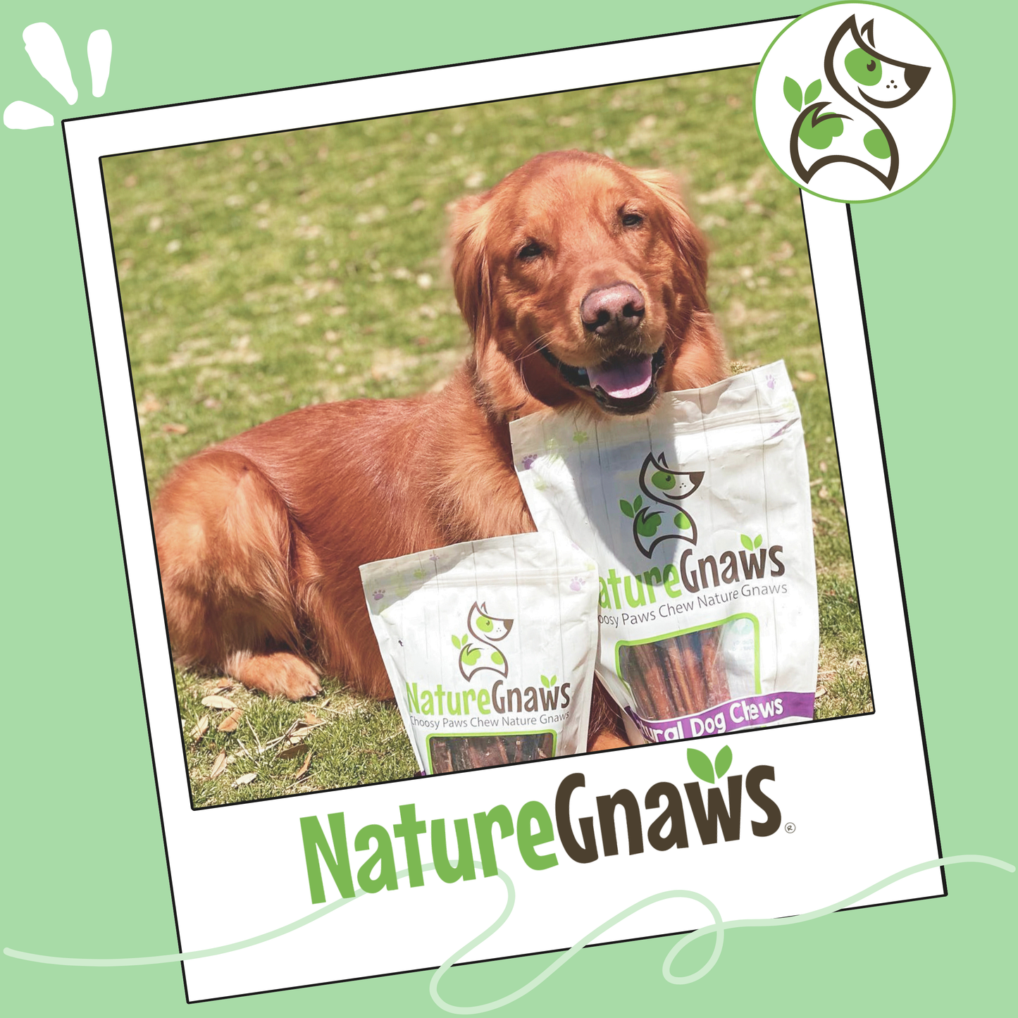 Large Bully Sticks 11-12"