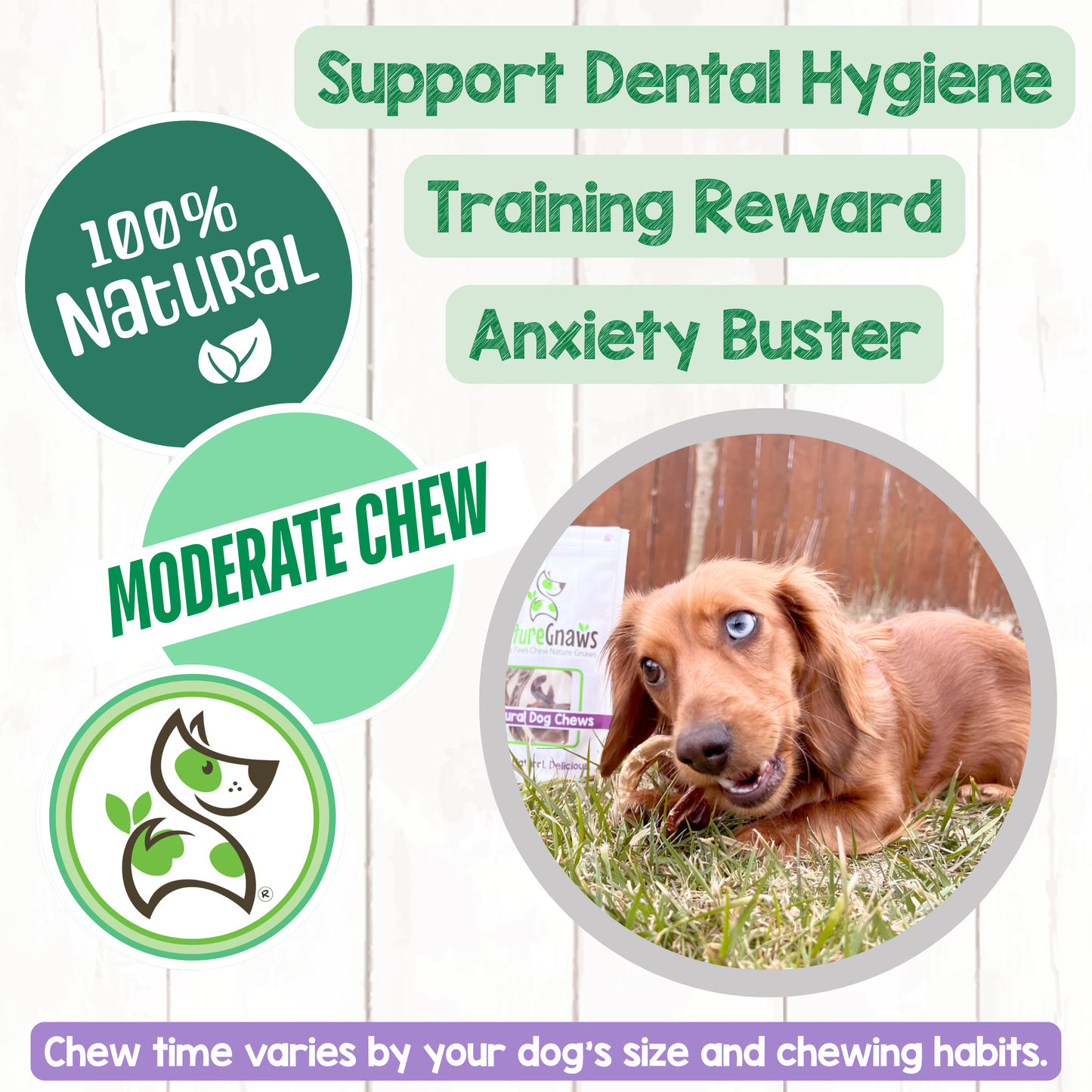 Pork Pretzels Natural Long-Lasting Dog Chews