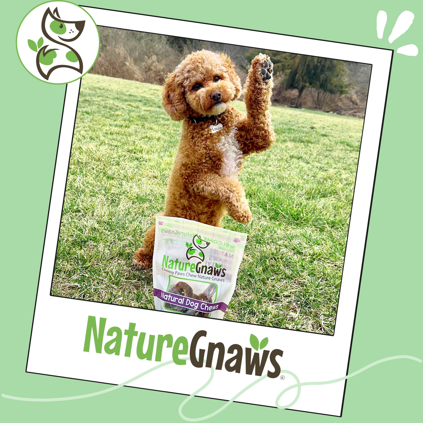 Pork Pretzels Natural Long-Lasting Dog Chews
