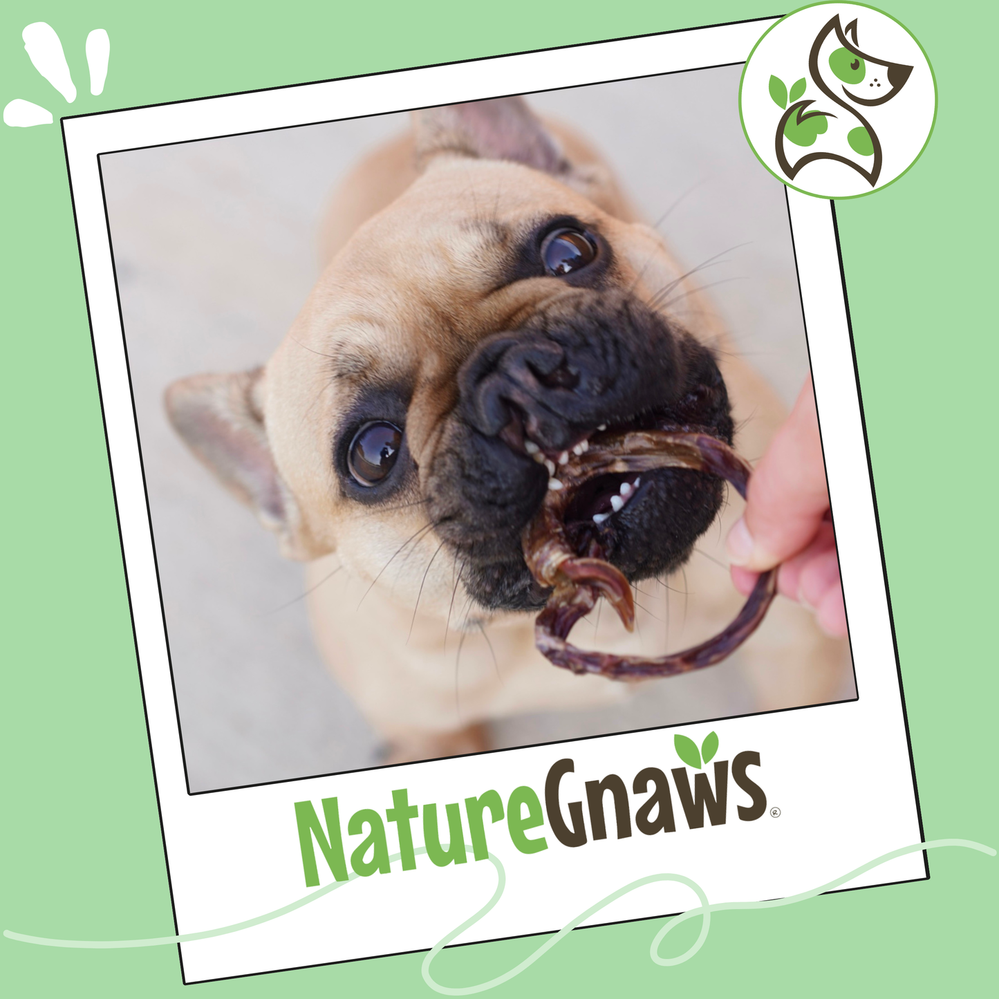 Pork Pretzels Natural Long-Lasting Dog Chews