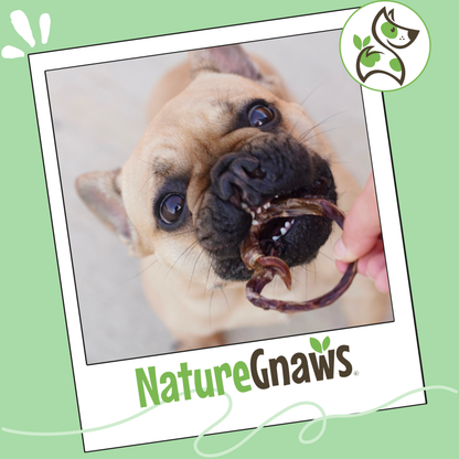 Pork Pretzels Natural Long-Lasting Dog Chews