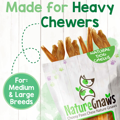 Beef Tendon 7–11" Durable Dental Chews