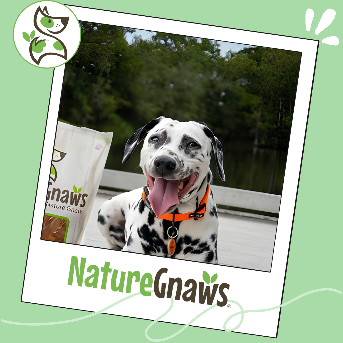 Beef Tendon Wraps Durable Dental Chews