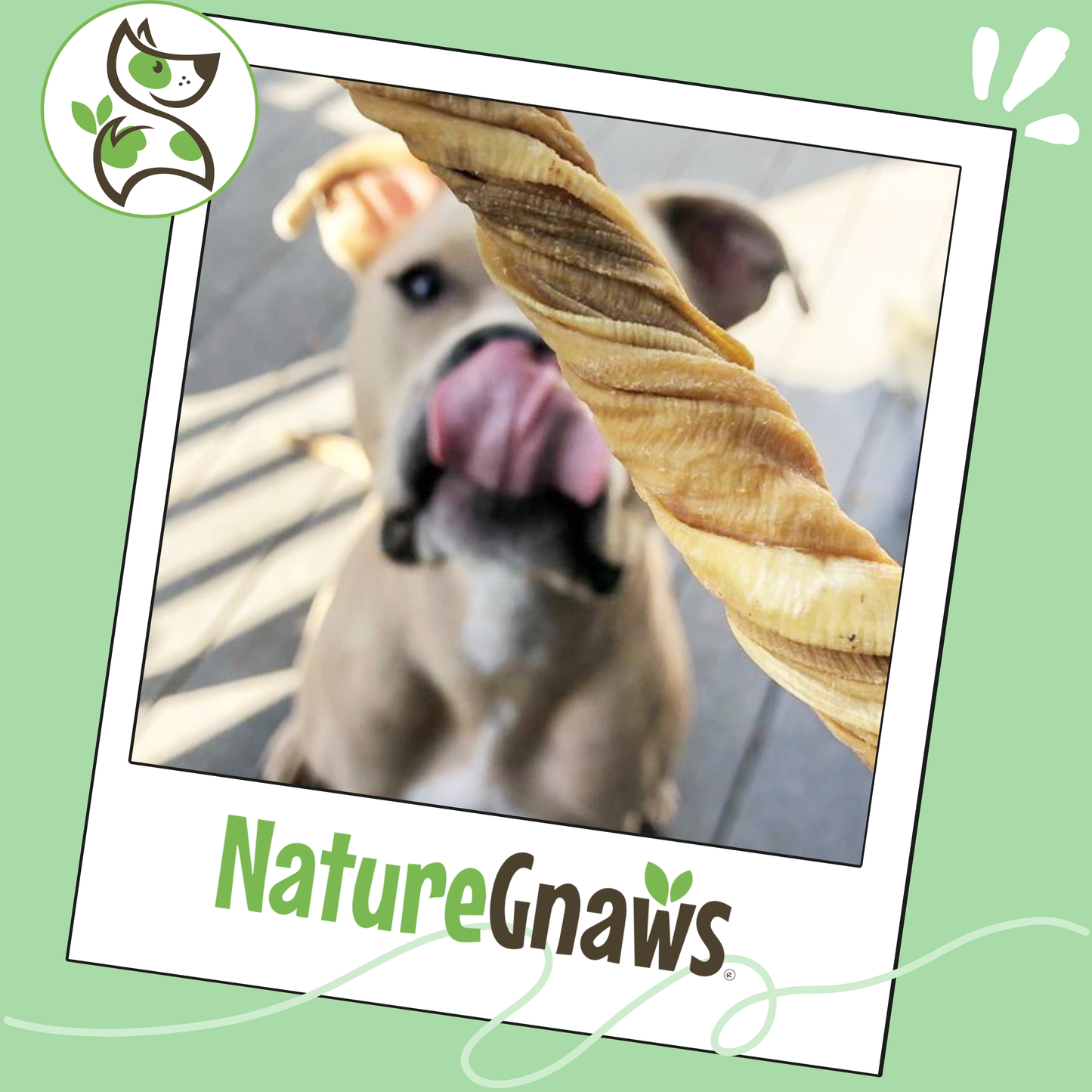 Beef Tripe Twists 4-5"