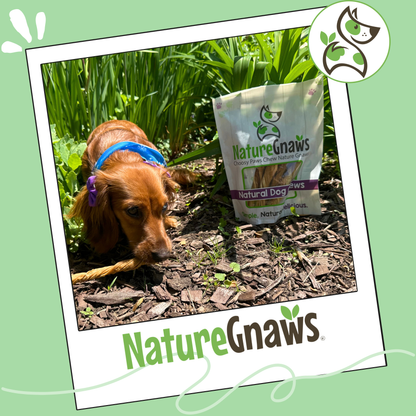 Beef Tripe Twists 4-5"