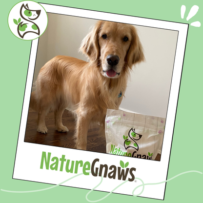 Premium Beef Dog Chews Variety Pack – Long-Lasting & Natural