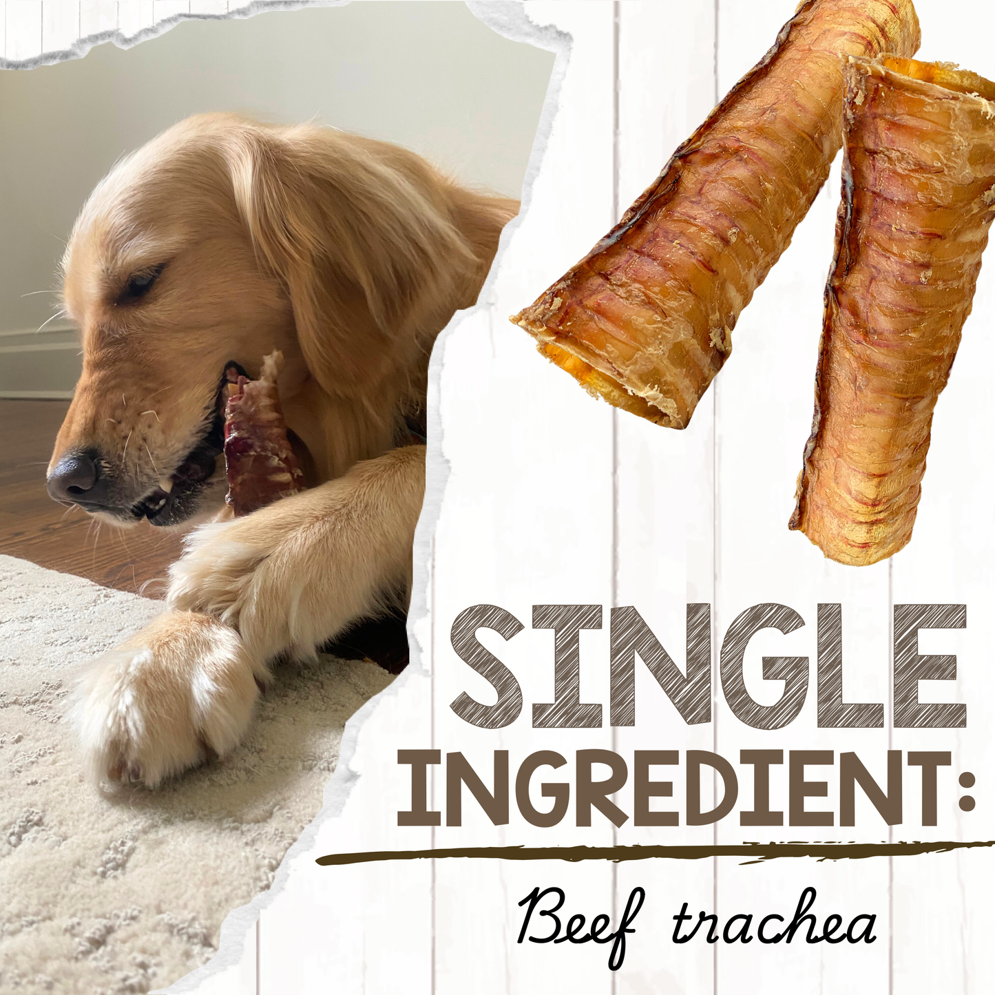 Natural Beef Trachea 6" Long-Lasting Dental Chew