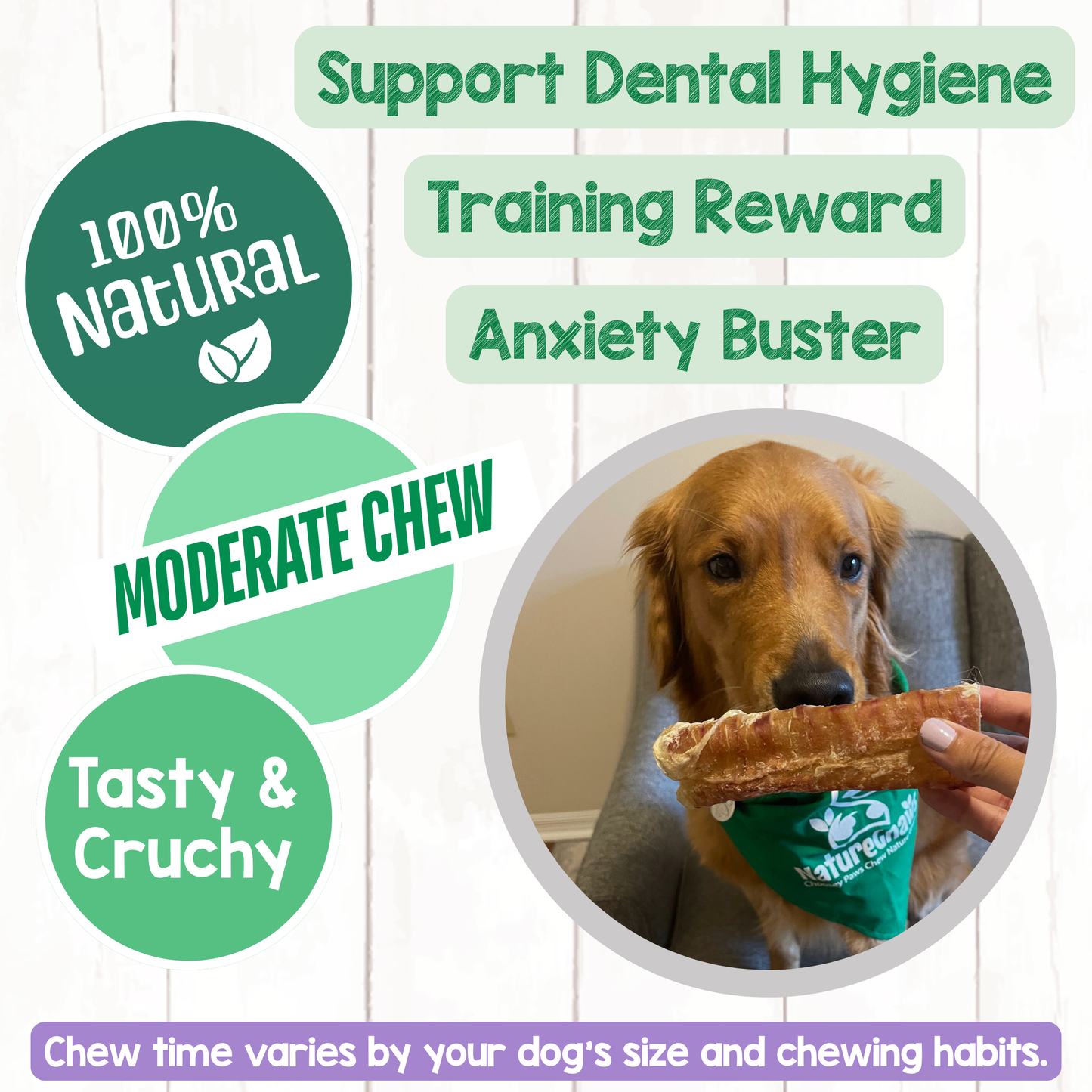 Natural Beef Trachea 6" Long-Lasting Dental Chew