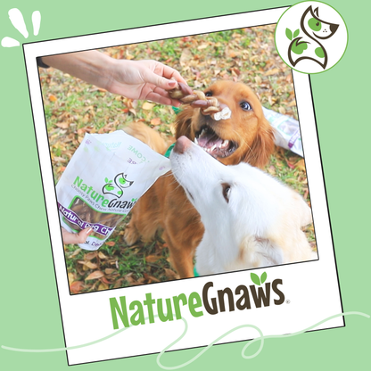 Pork Braided Bully Sticks 5–6" Long-Lasting Dog Chews