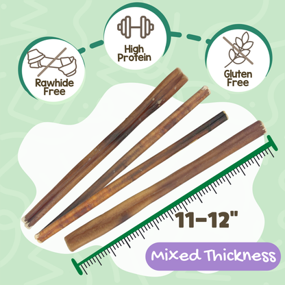 Mixed Thickness Bully Sticks 11-12" Long Lasting Dental Chews