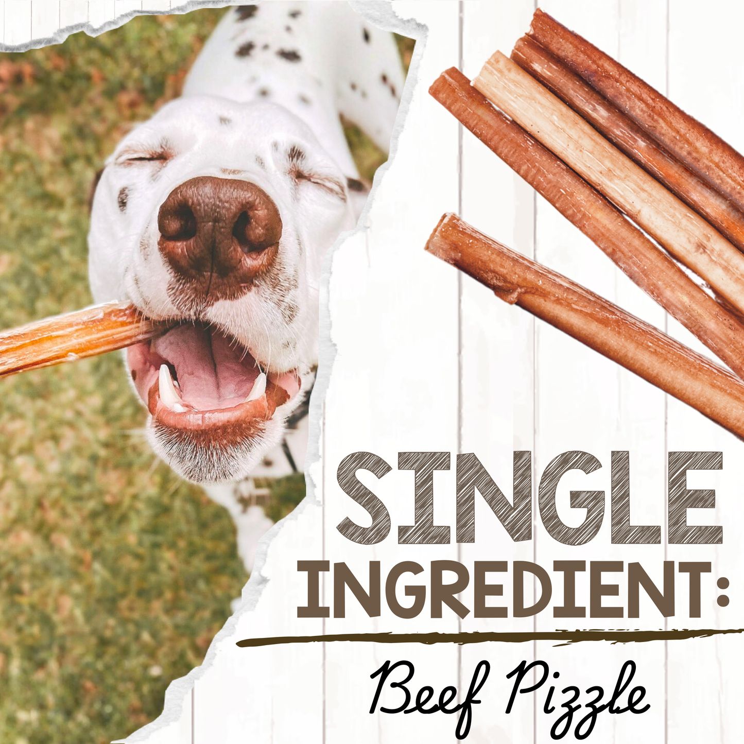 Mixed Thickness Bully Sticks 11-12" Long Lasting Dental Chews