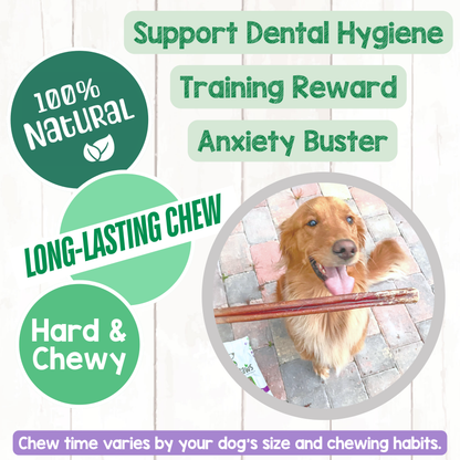 Mixed Thickness Bully Sticks 11-12" Long Lasting Dental Chews