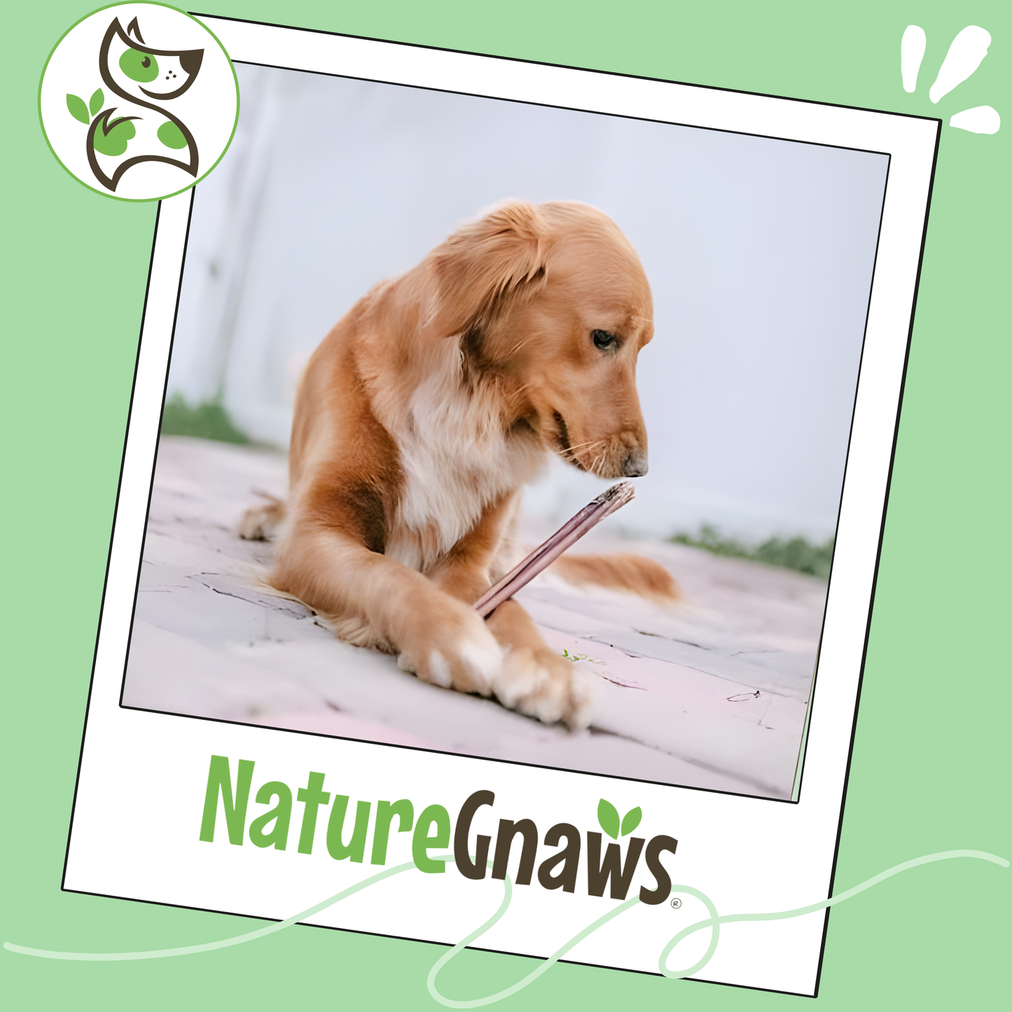 Mixed Thickness Bully Sticks 11-12" Long Lasting Dental Chews